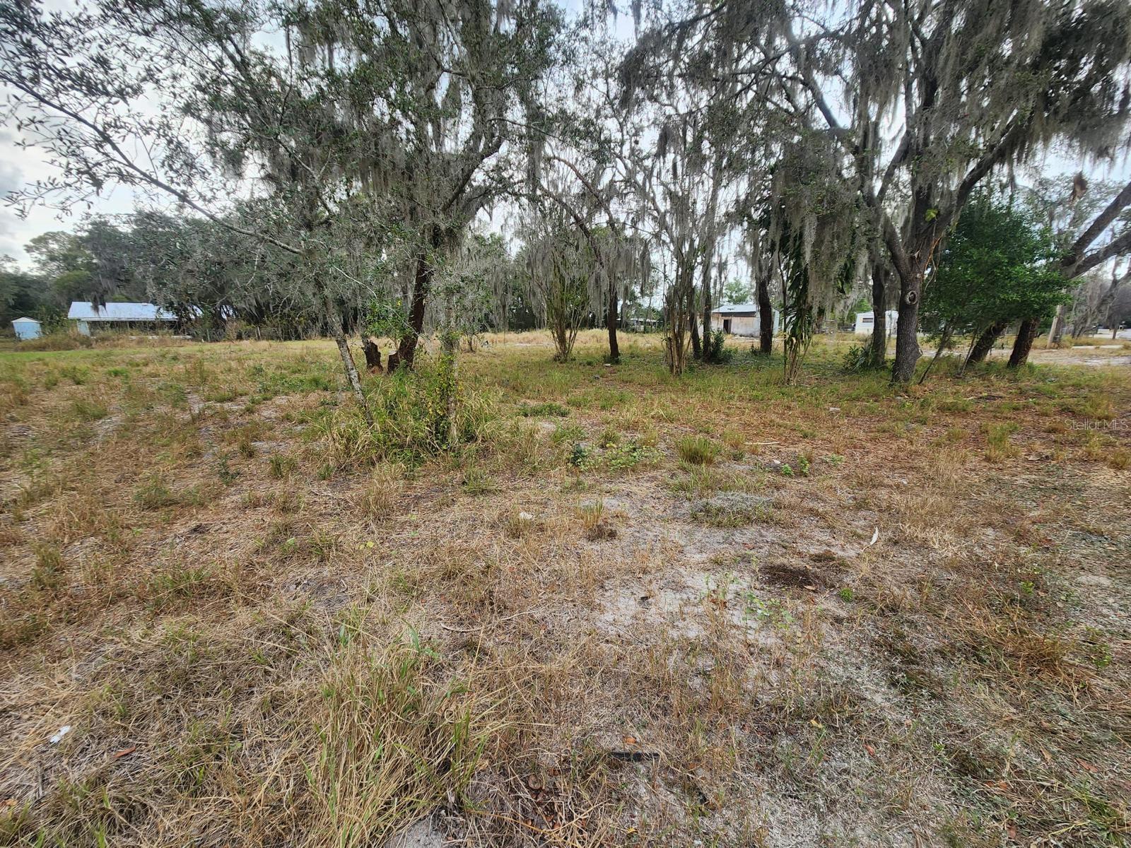 1409 Wilkinson Dr Property Photo 6