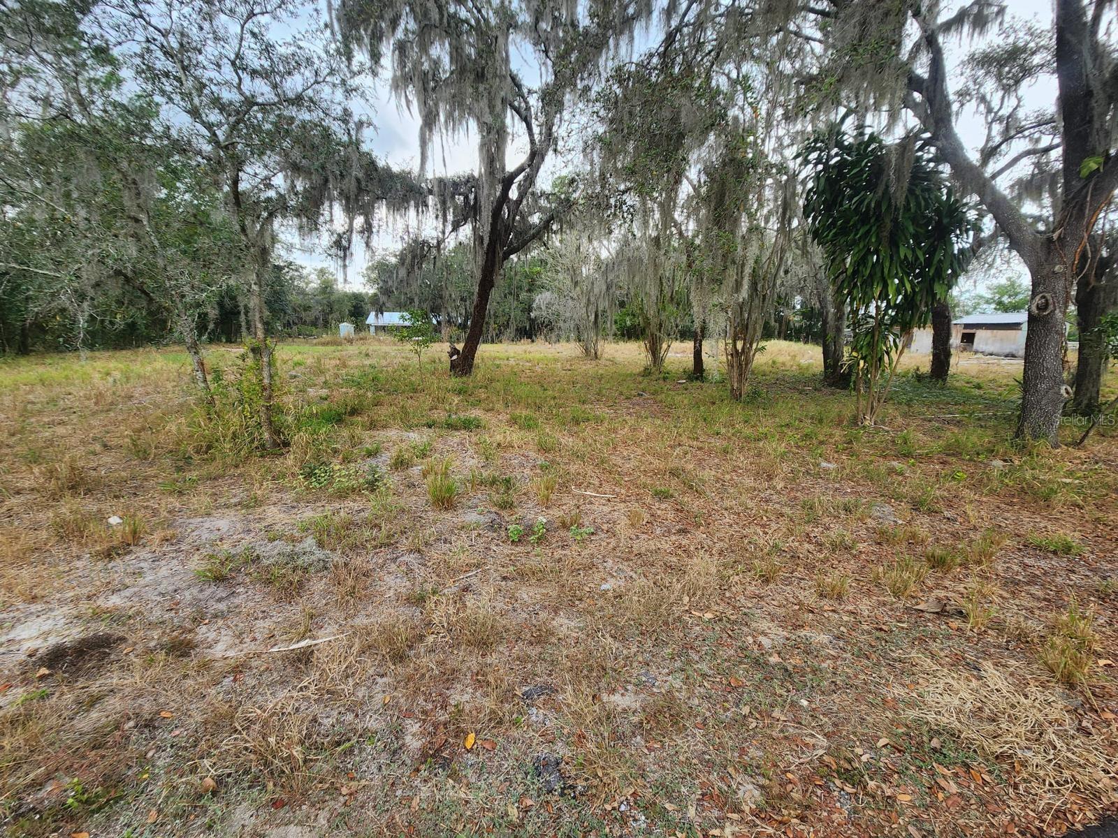 1409 Wilkinson Dr Property Photo 8