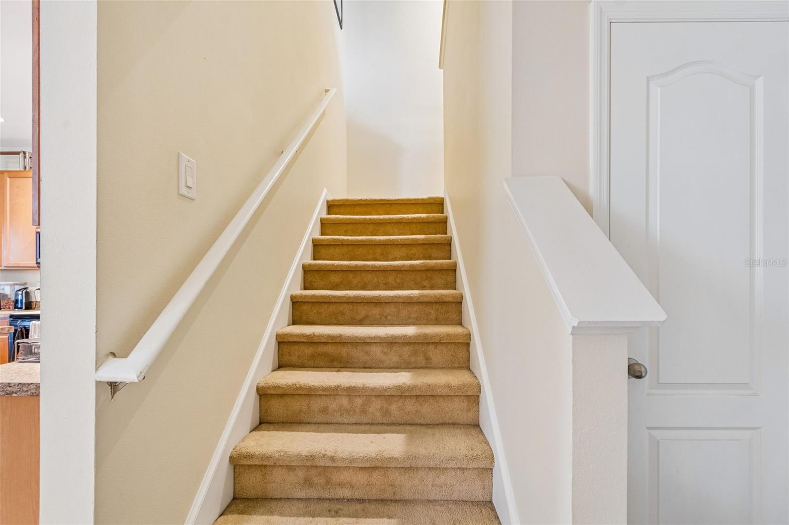 5017 White Sanderling Ct Property Photo 22