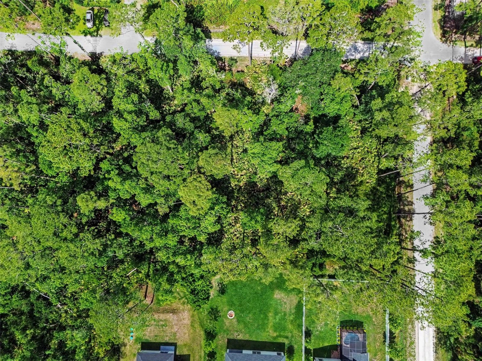 1465 East Pkwy Property Photo 8