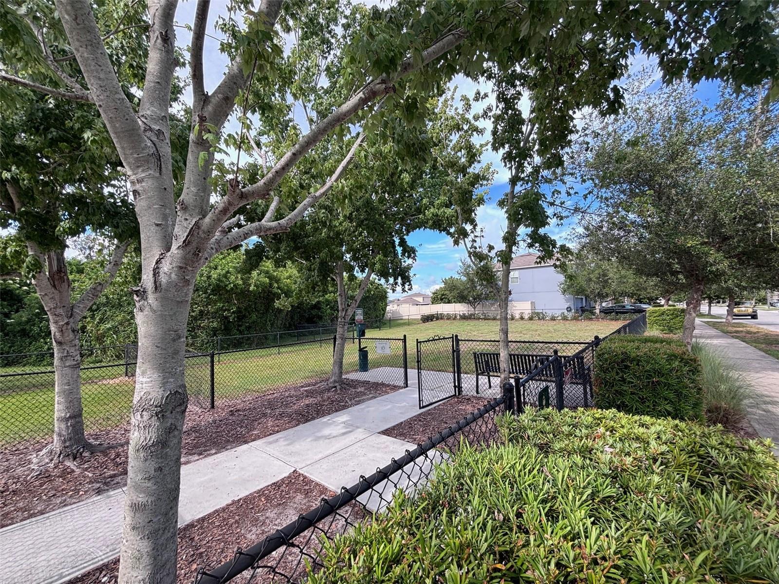 405 Serenity Mill Loop Property Photo 50