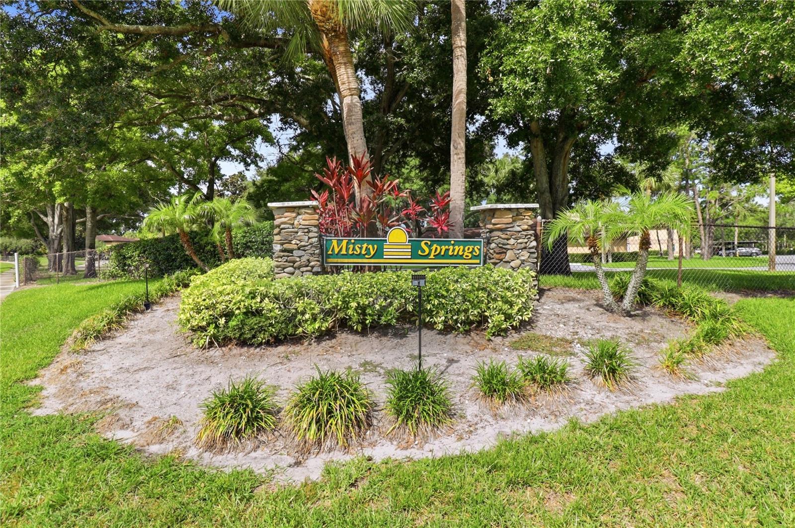 2685 Sabal Springs Cir #105 Property Photo 23