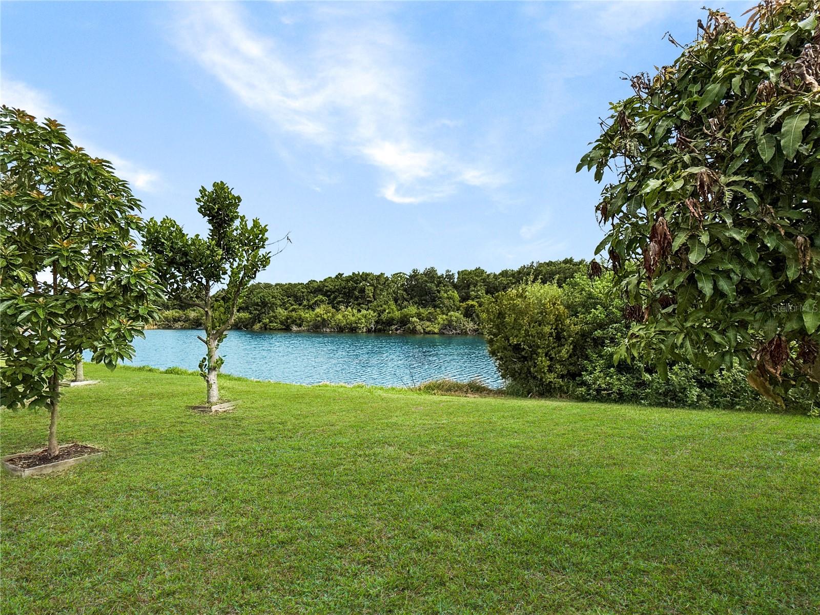 7115 Forest Mere Dr Property Photo 25