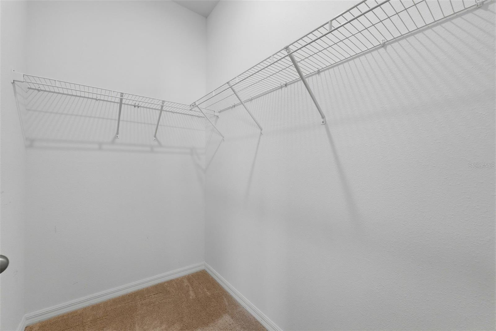 32337 Conchshell Sail St Property Photo 18
