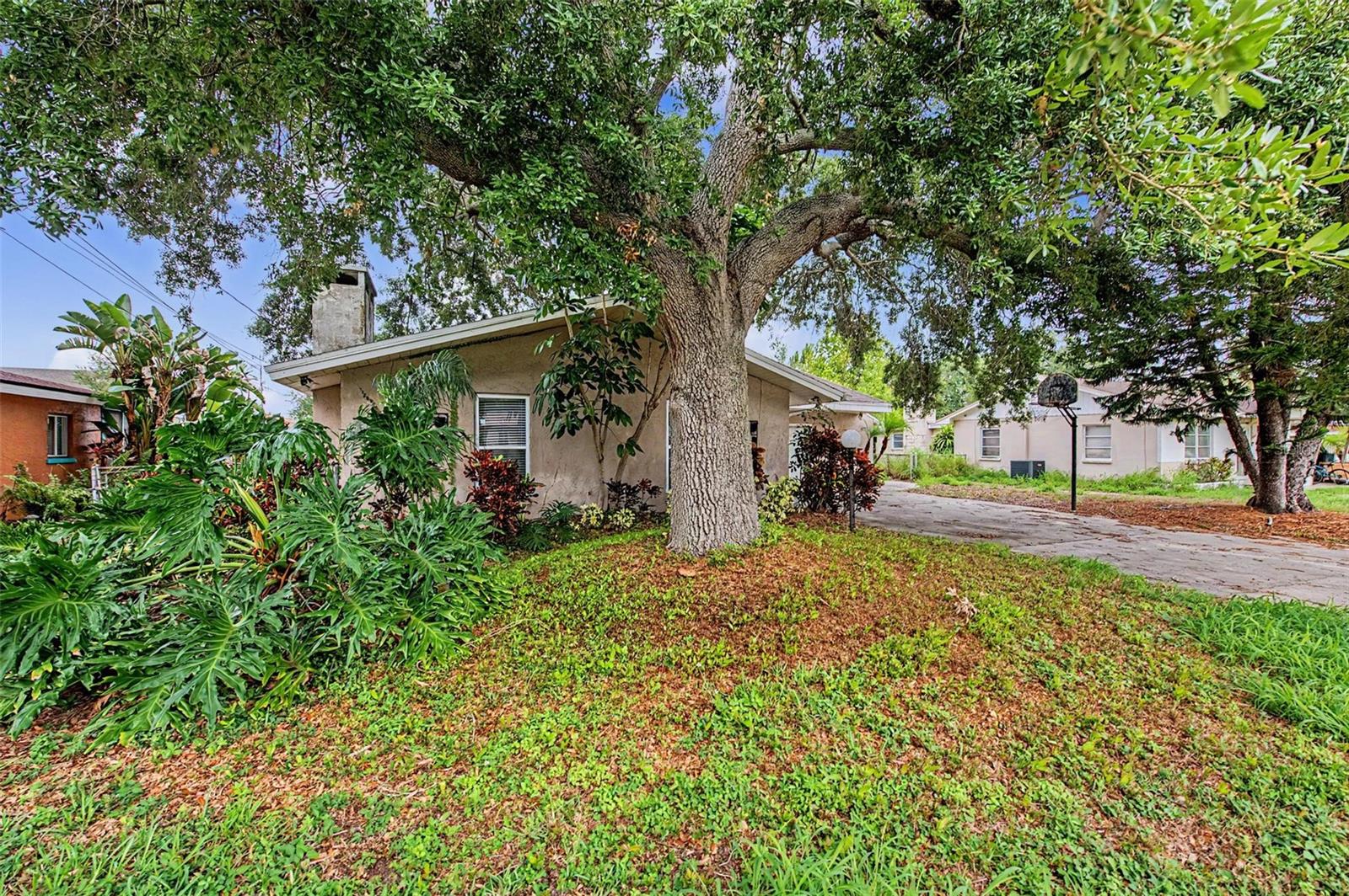 1647 Summerdale Dr S Property Photo 54