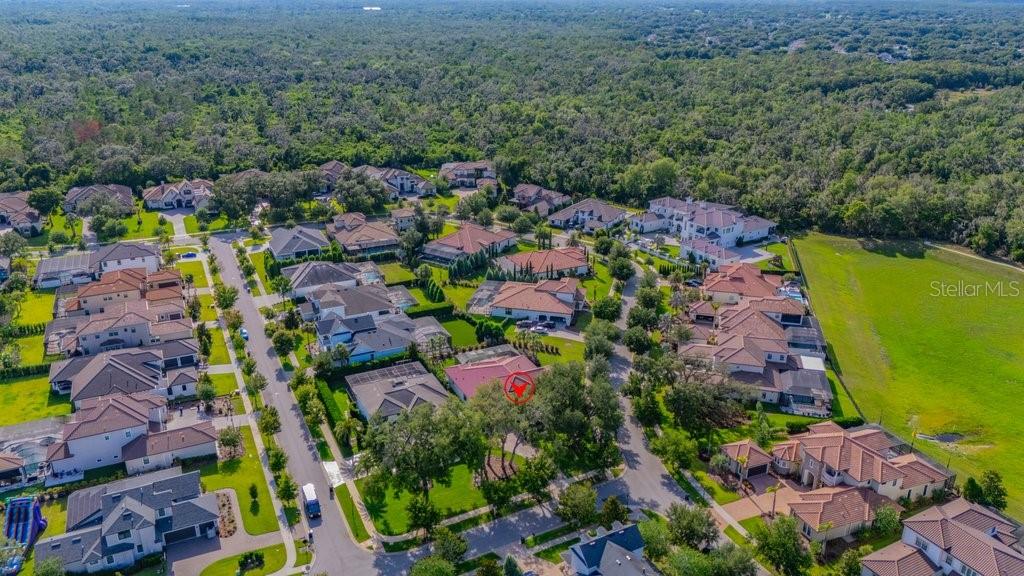 5201 Alafia Falls Dr Property Photo 66