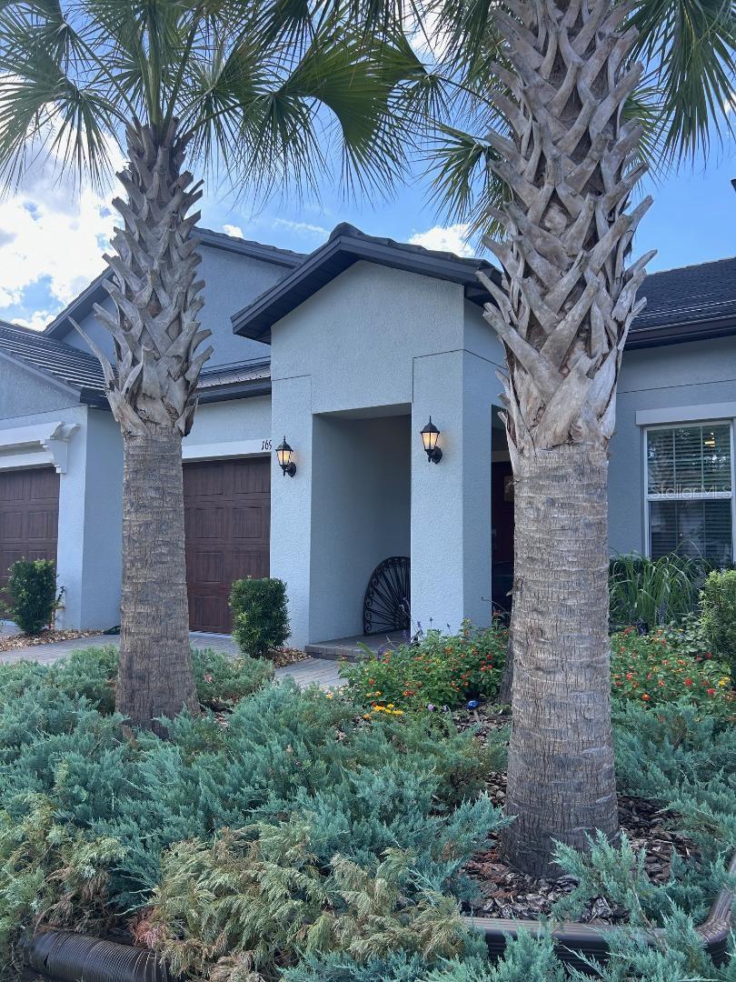 16919 Forge Surf St Property Photo 1