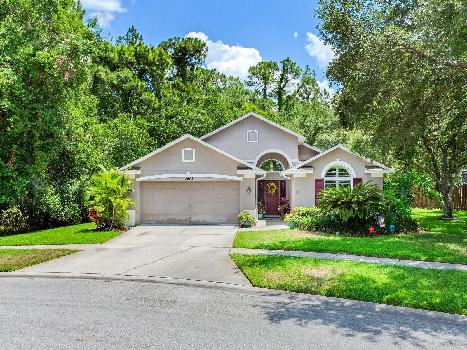 12502 Blazing Star Dr Property Photo