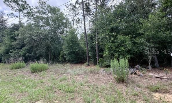 3223 E Scofield St Property Photo 1