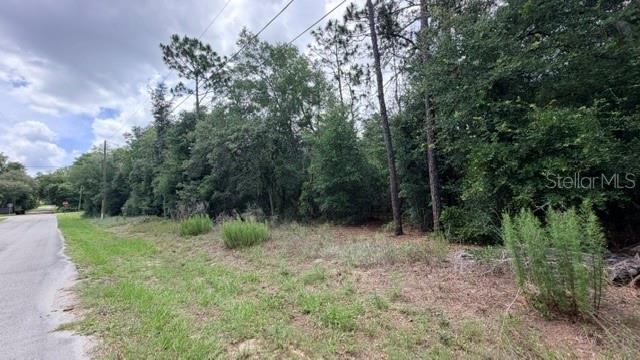 3223 E Scofield St Property Photo 2