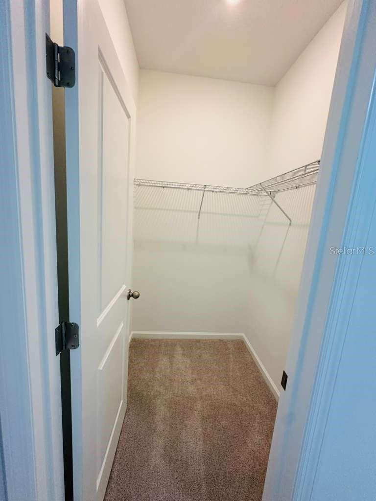 10473 Curving Creek Loop Property Photo 11