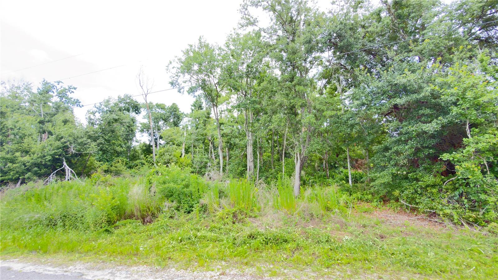 7402 Land Dr Property Photo 1