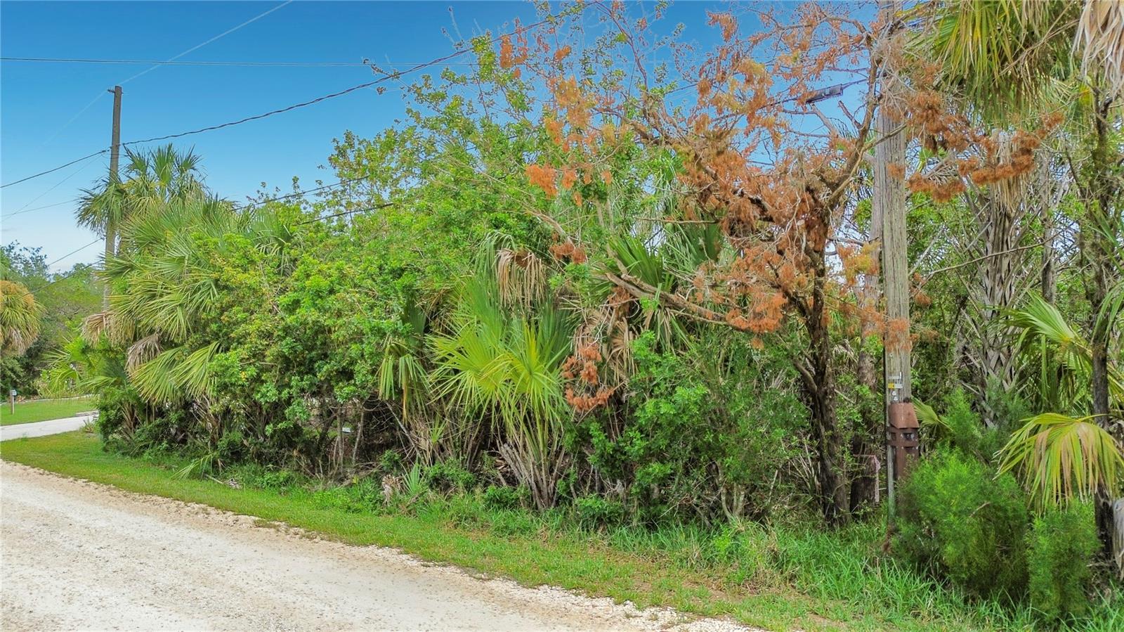 12073 W Gulf Breeze Ct Property Photo 8