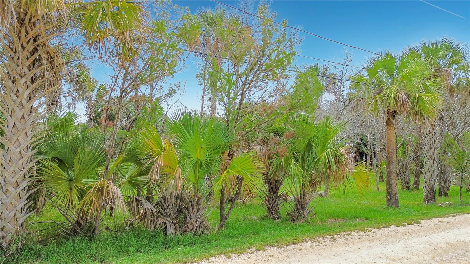 12073 W Gulf Breeze Ct Property Photo 9