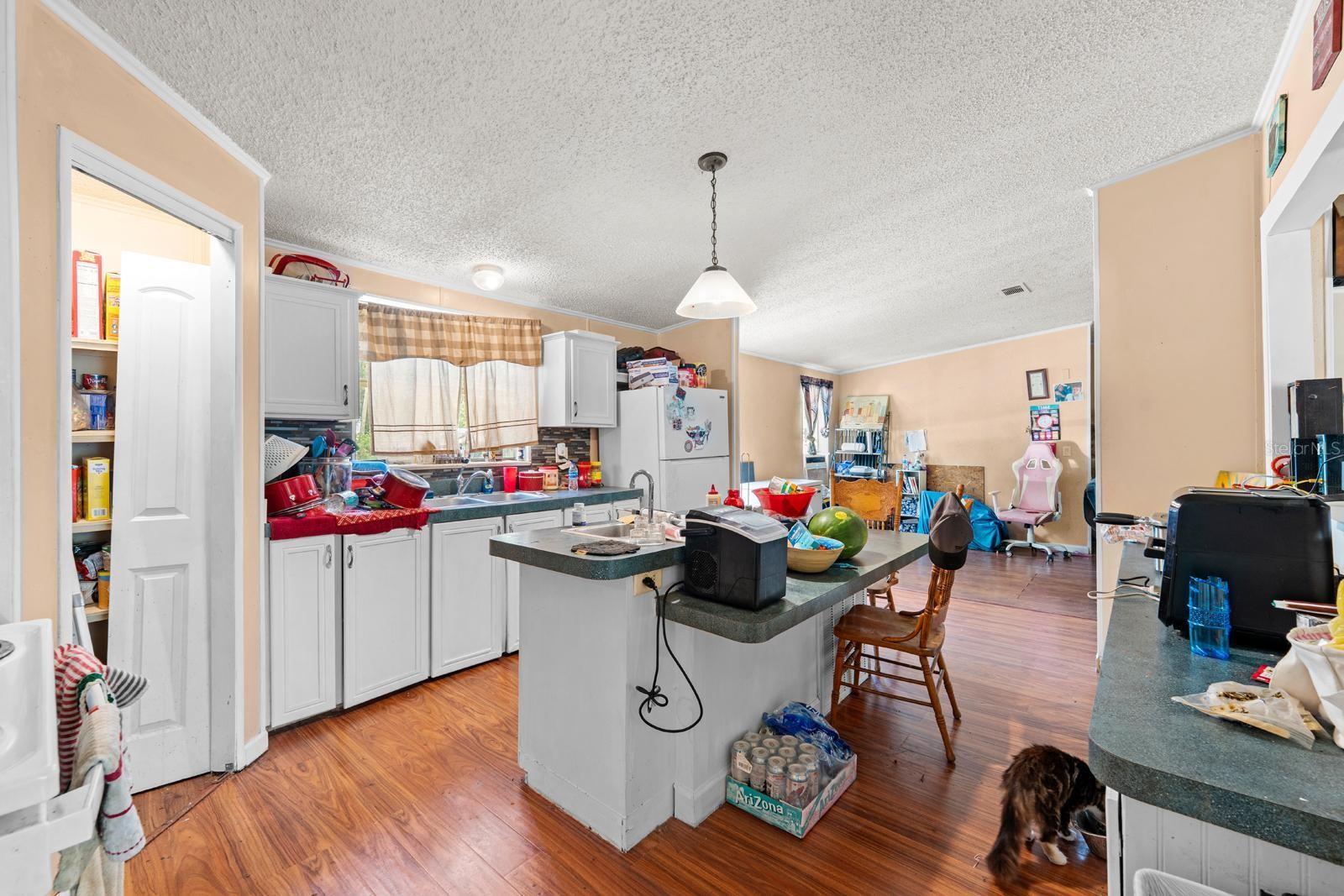 16143 Palacky St Property Photo 8
