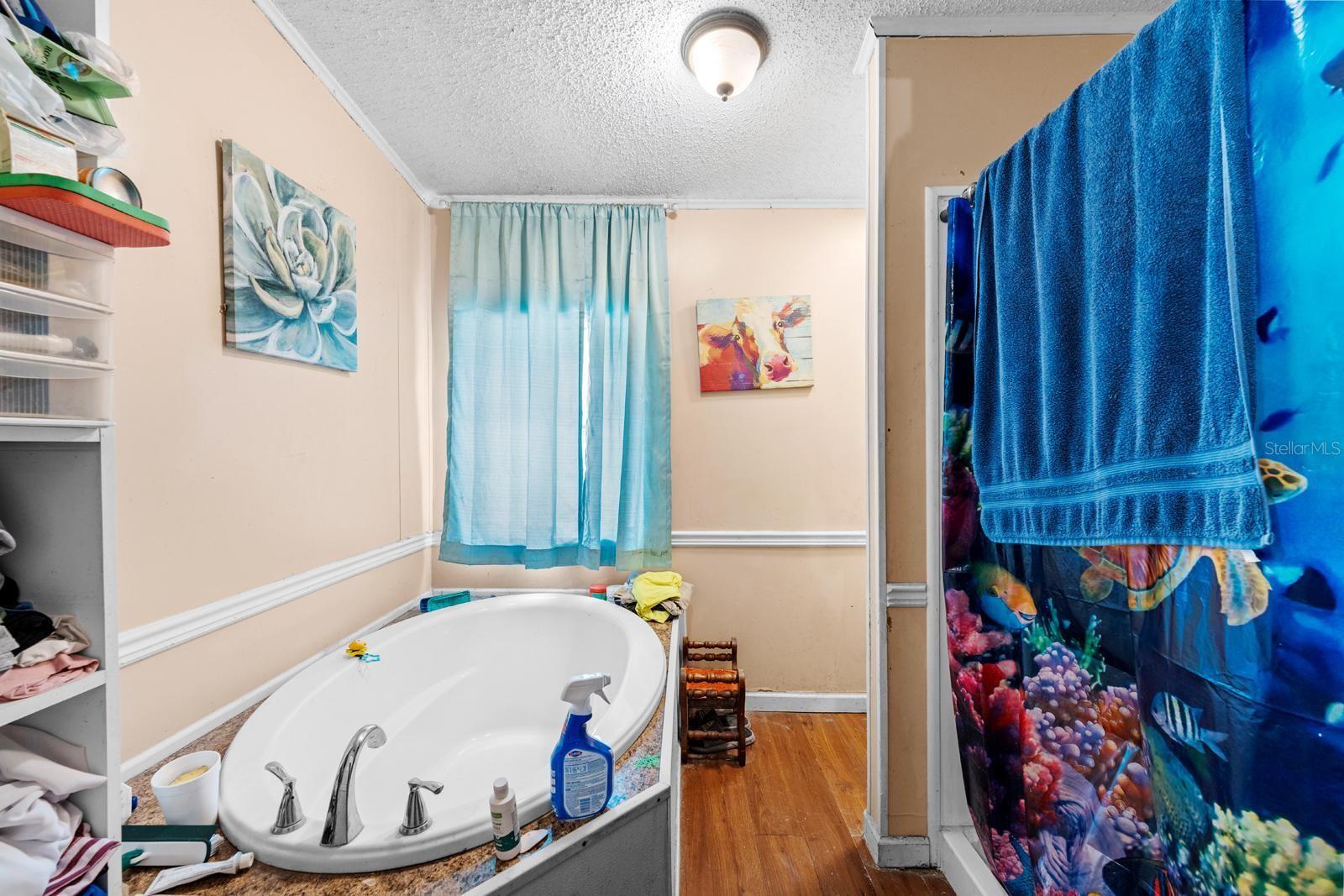 16143 Palacky St Property Photo 17