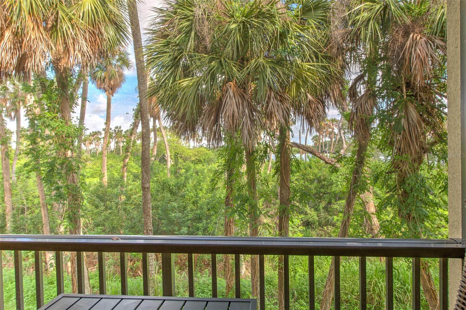 4722 Tuscan Loon Dr Property Photo 24