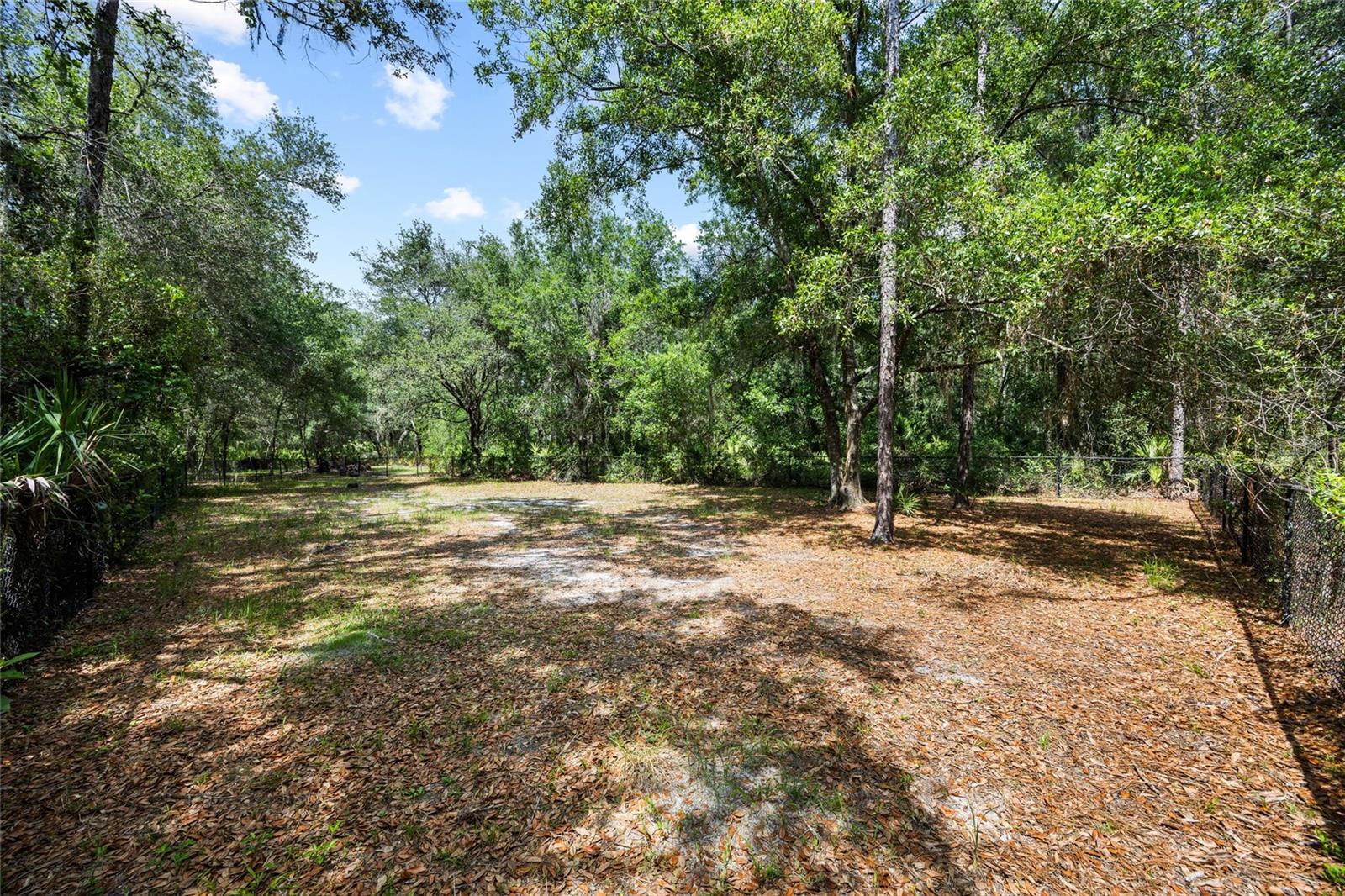 3851 Pacente Loop Property Photo 37
