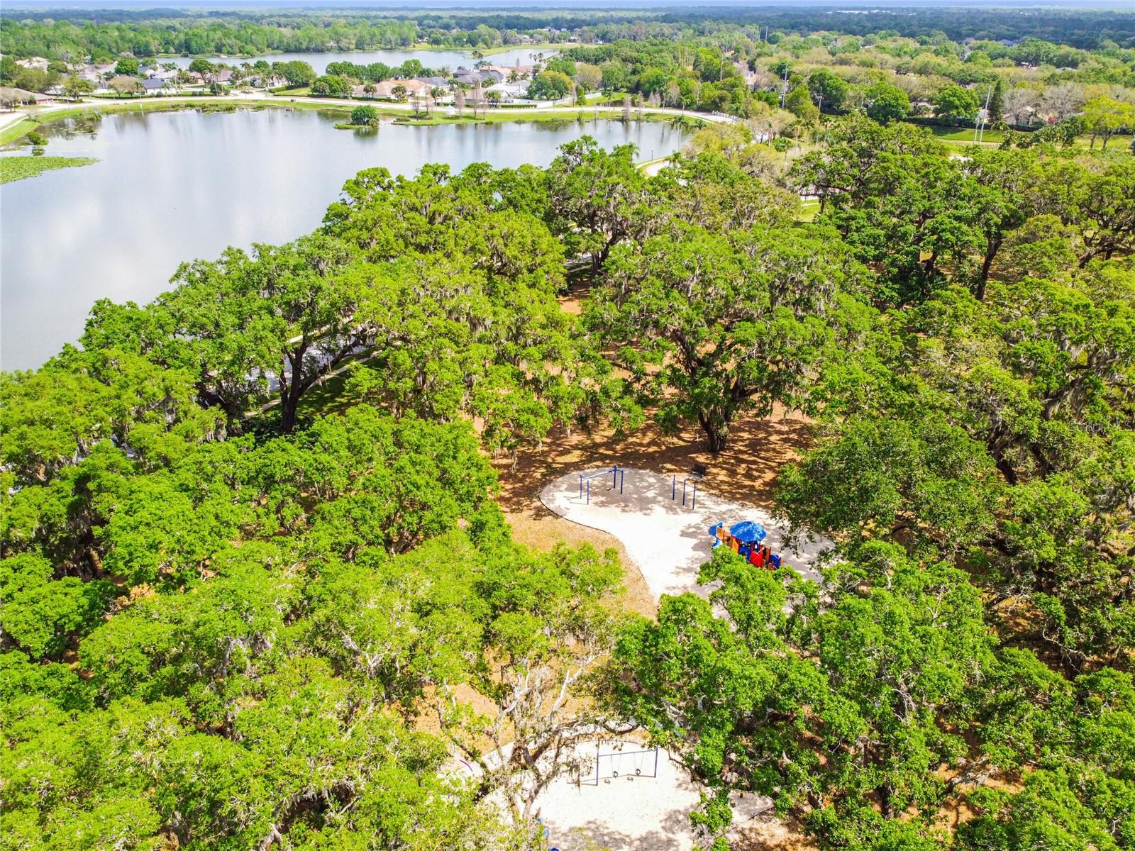 3041 Beaver Pond Trl Property Photo 70