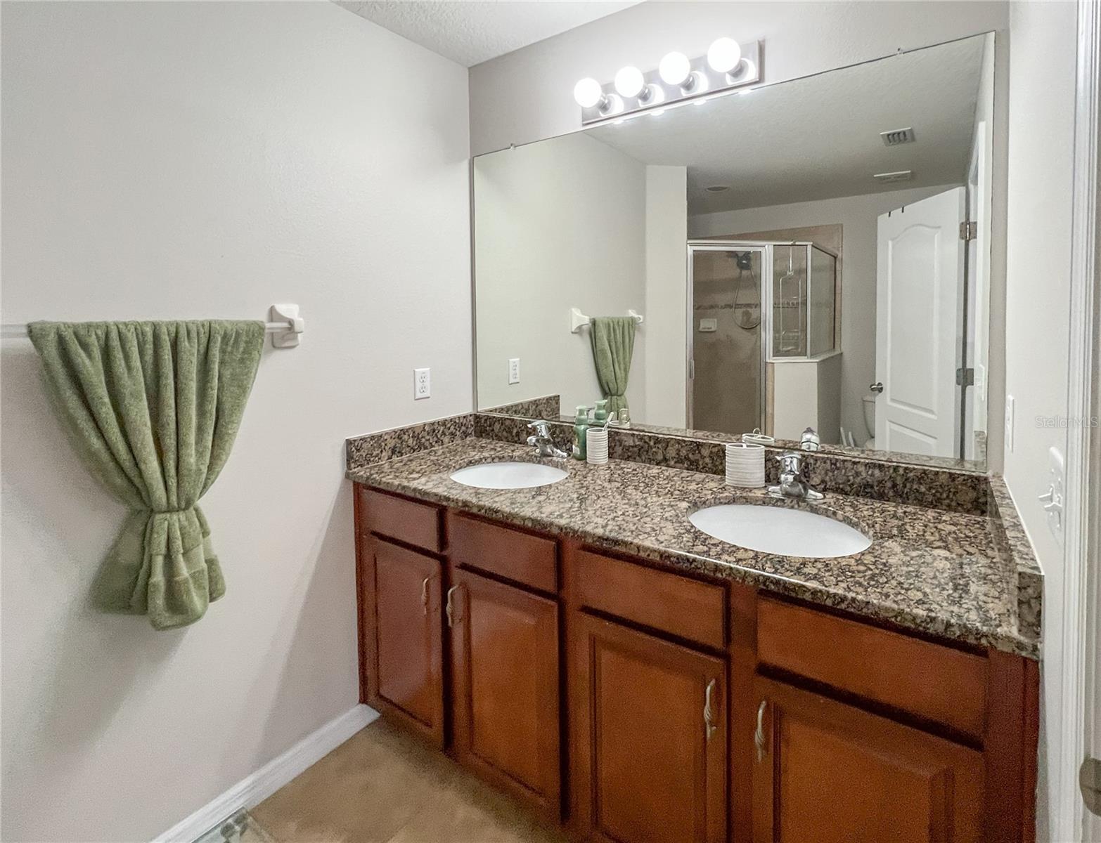772 Spring Flowers Trl Property Photo 18