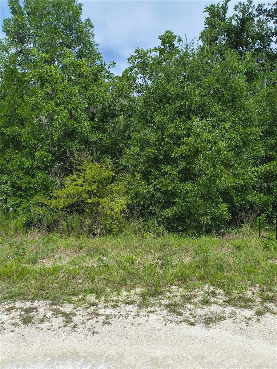 Cayman Rd Property Photo 4
