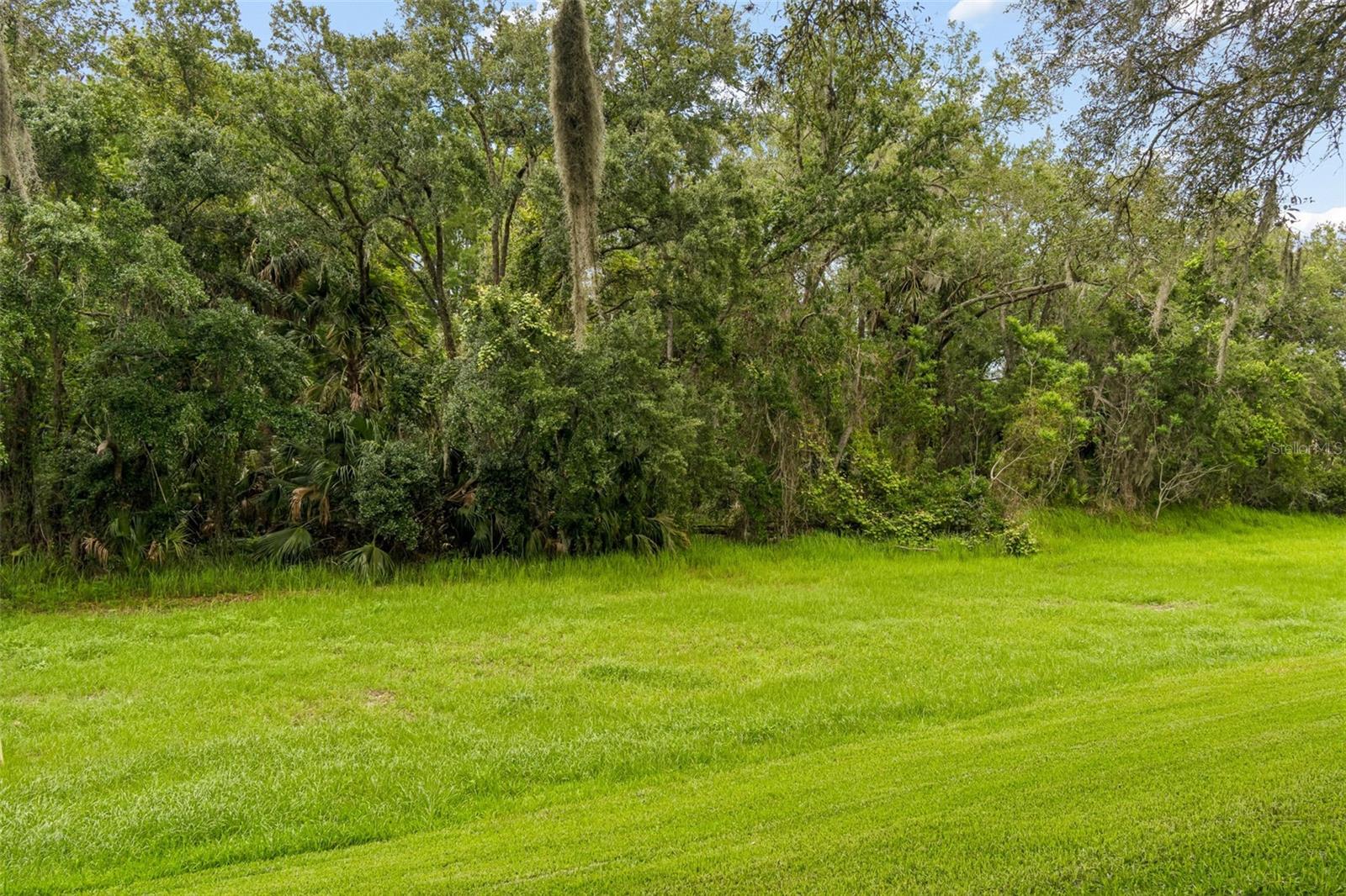 9311 Haas Dr Property Photo 56