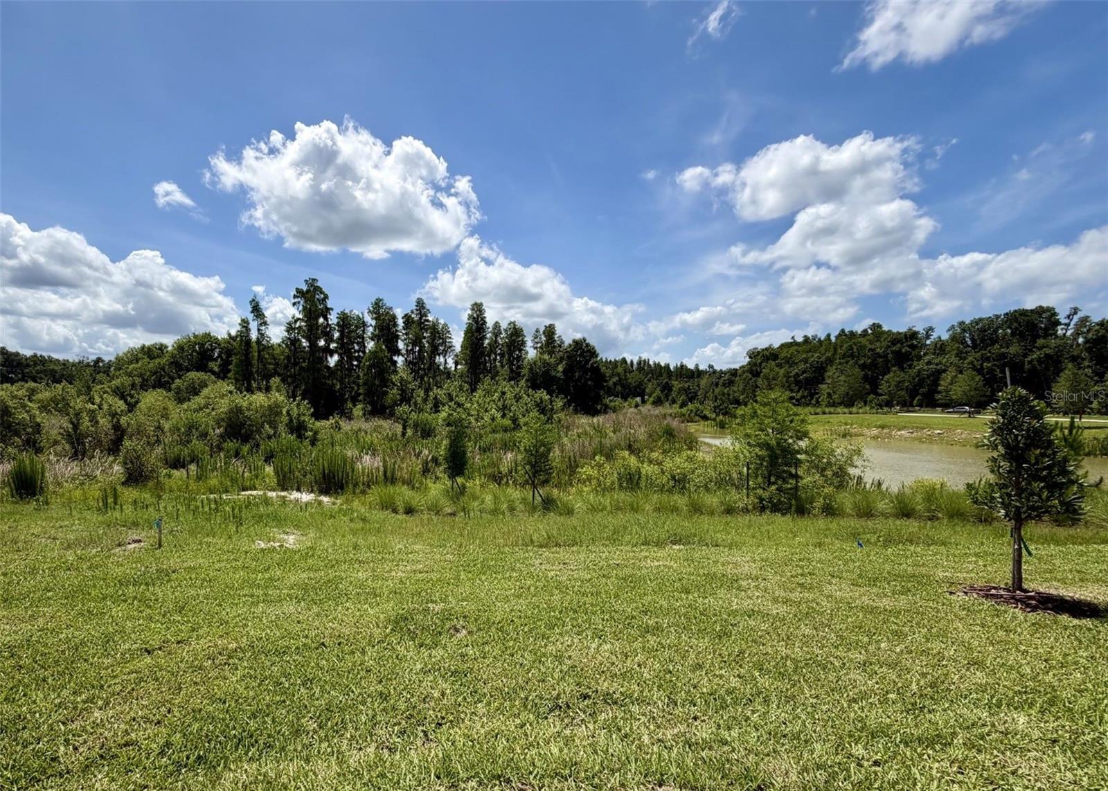 1483 Brekey Way Property Photo 16