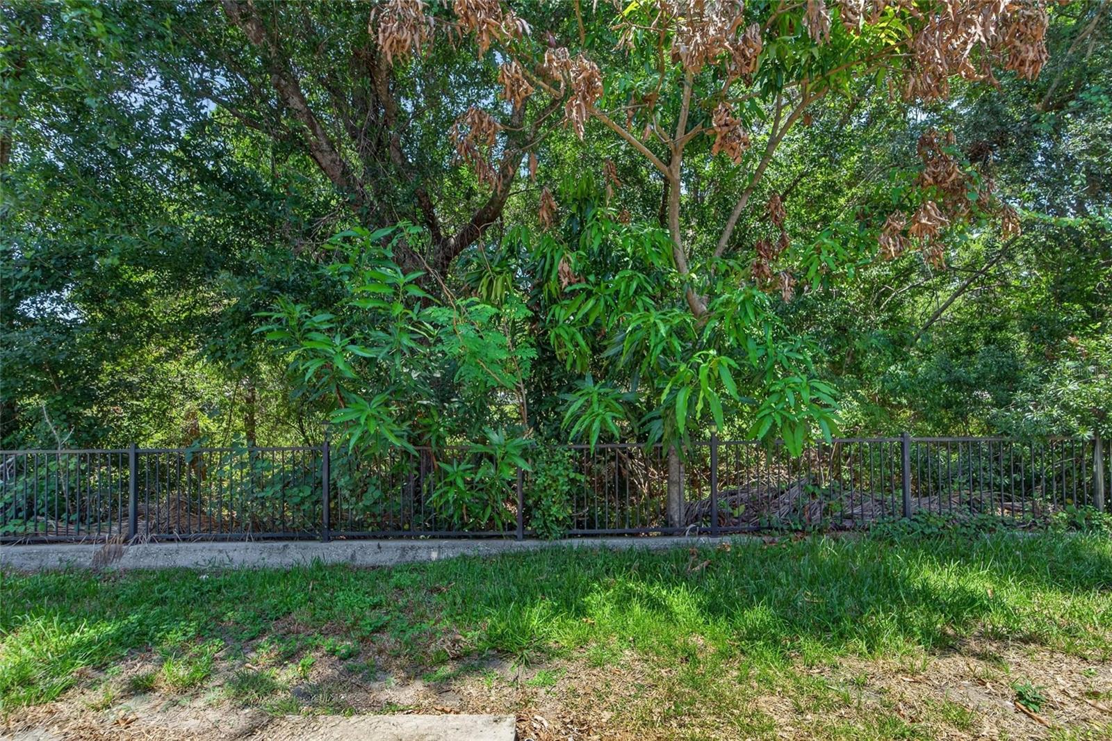 10818 Brickside Ct Property Photo 22