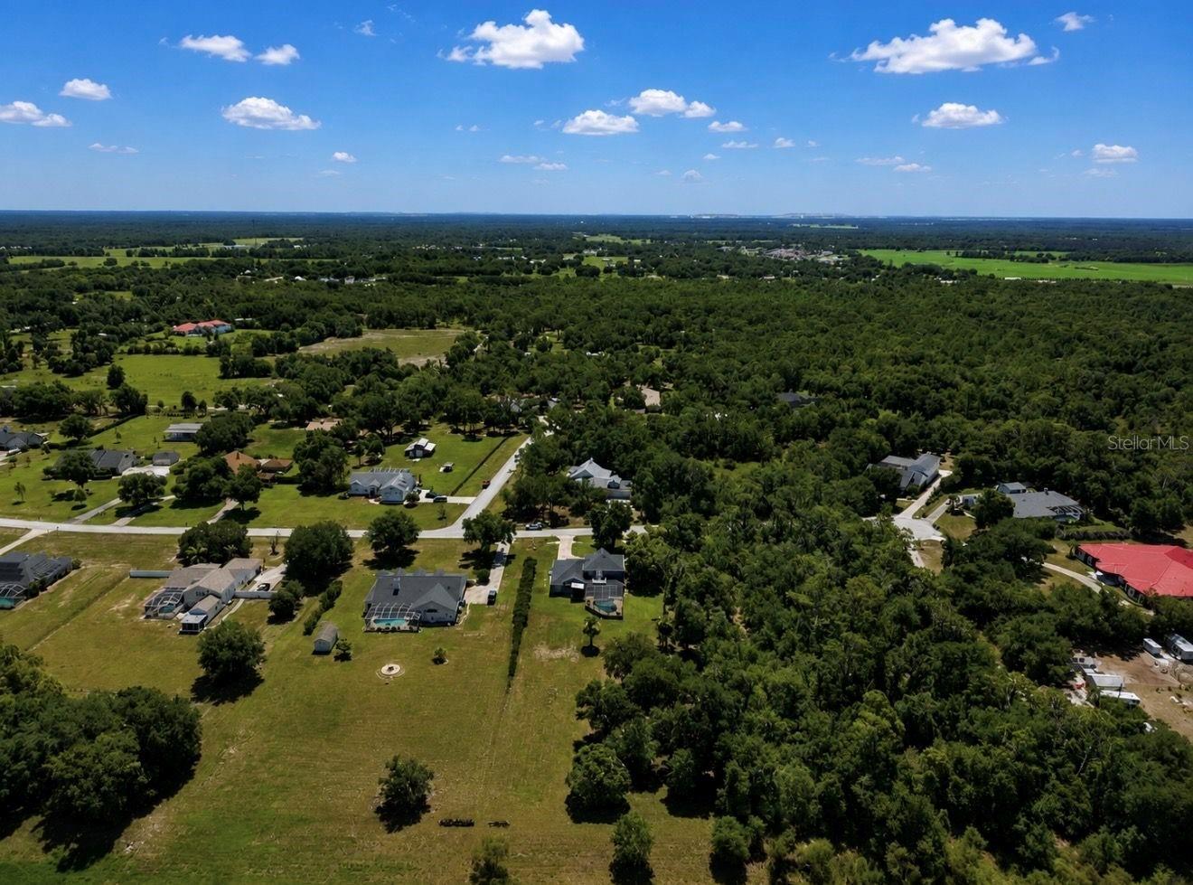 10619 Lithia Estates Dr Property Photo 58