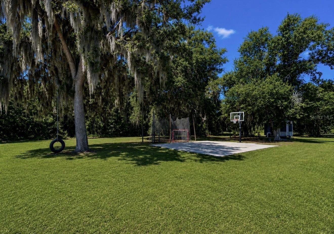 10619 Lithia Estates Dr Property Photo 64