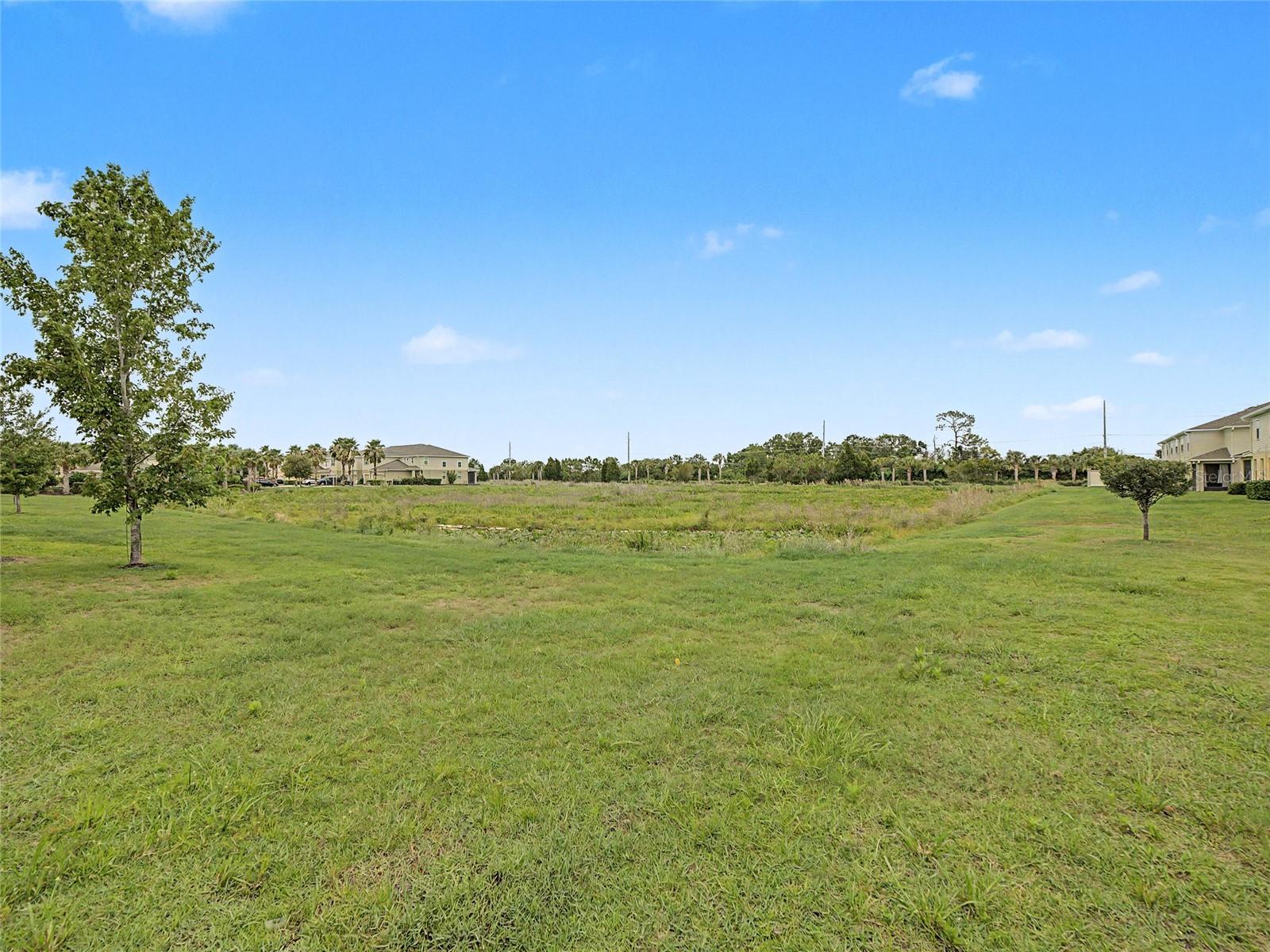 10942 Verawood Dr Property Photo 18