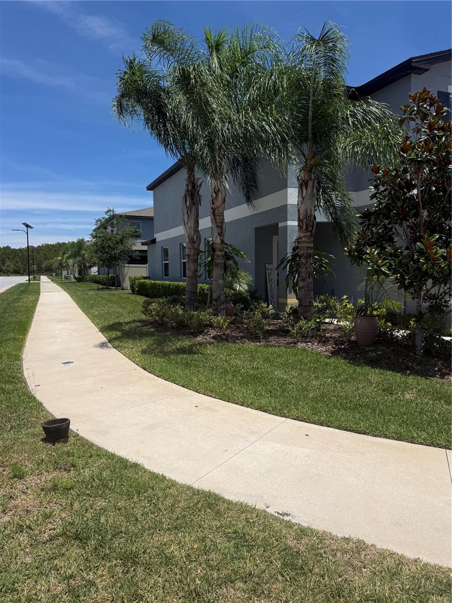 2188 Cerulean Sky Dr Property Photo 30