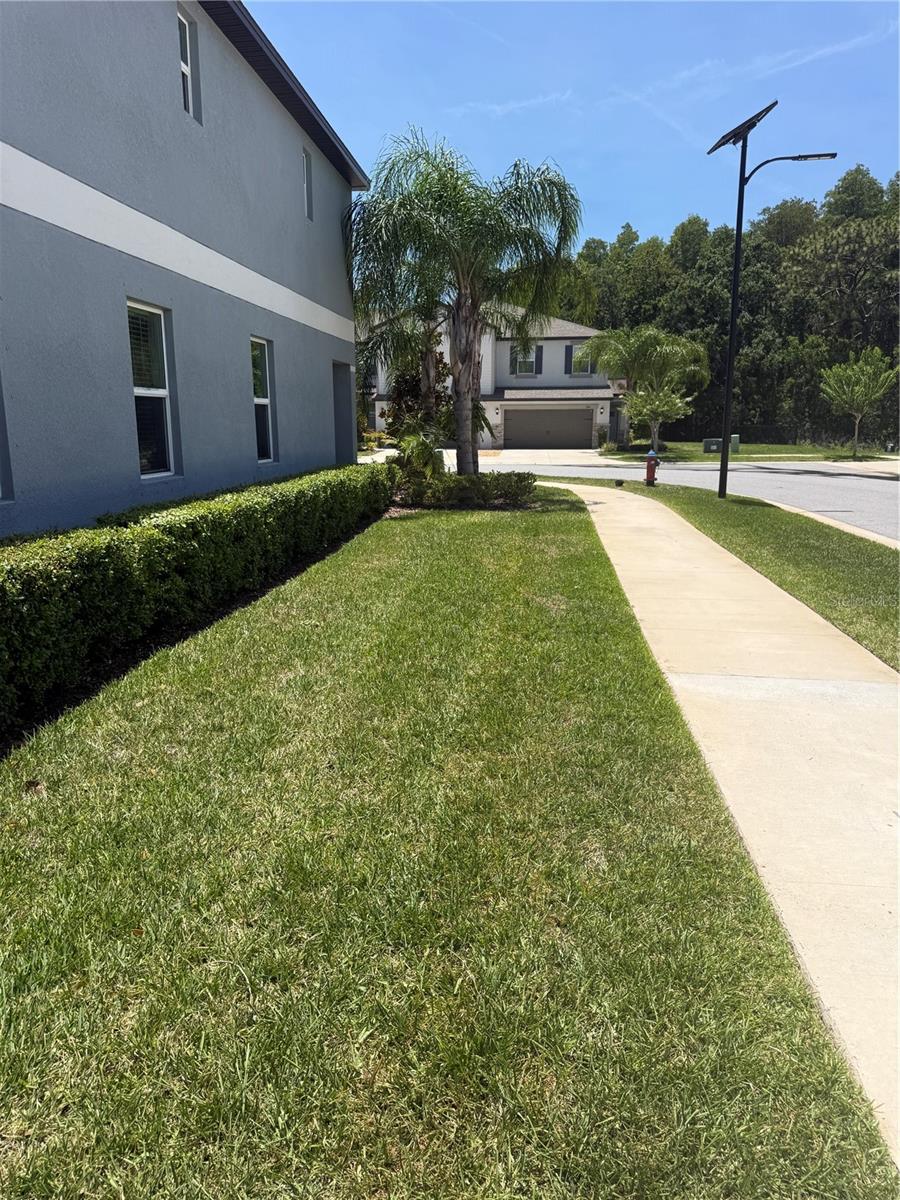 2188 Cerulean Sky Dr Property Photo 31
