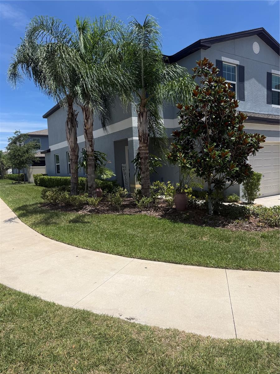 2188 Cerulean Sky Dr Property Photo 32