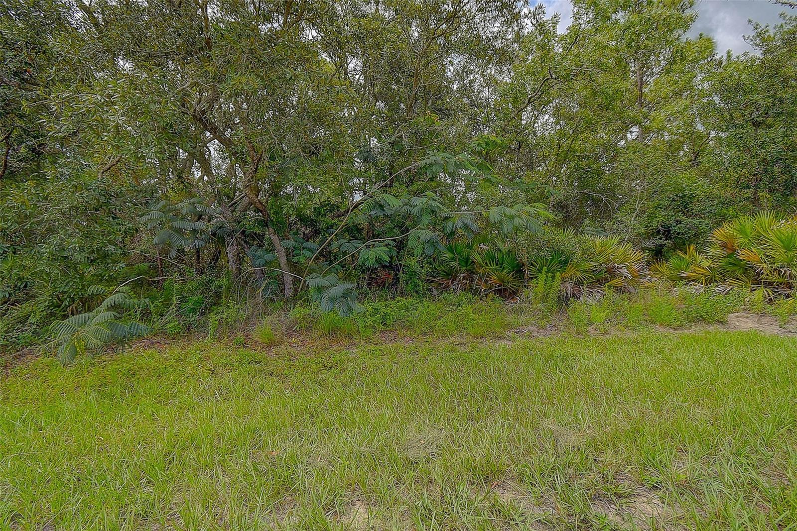 6859 W Merrivale Ln Property Photo 13