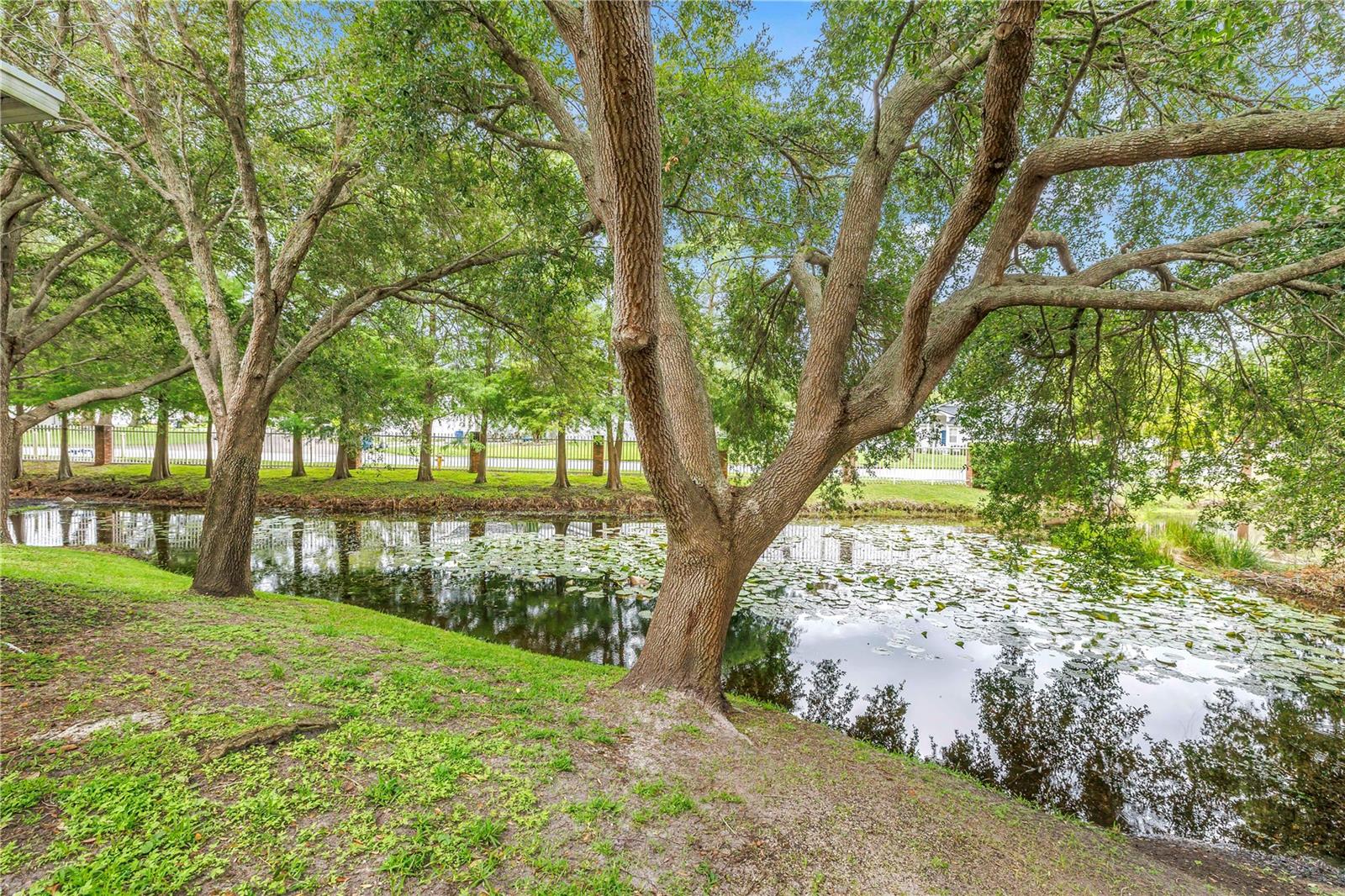2982 Estancia Pl Property Photo 10