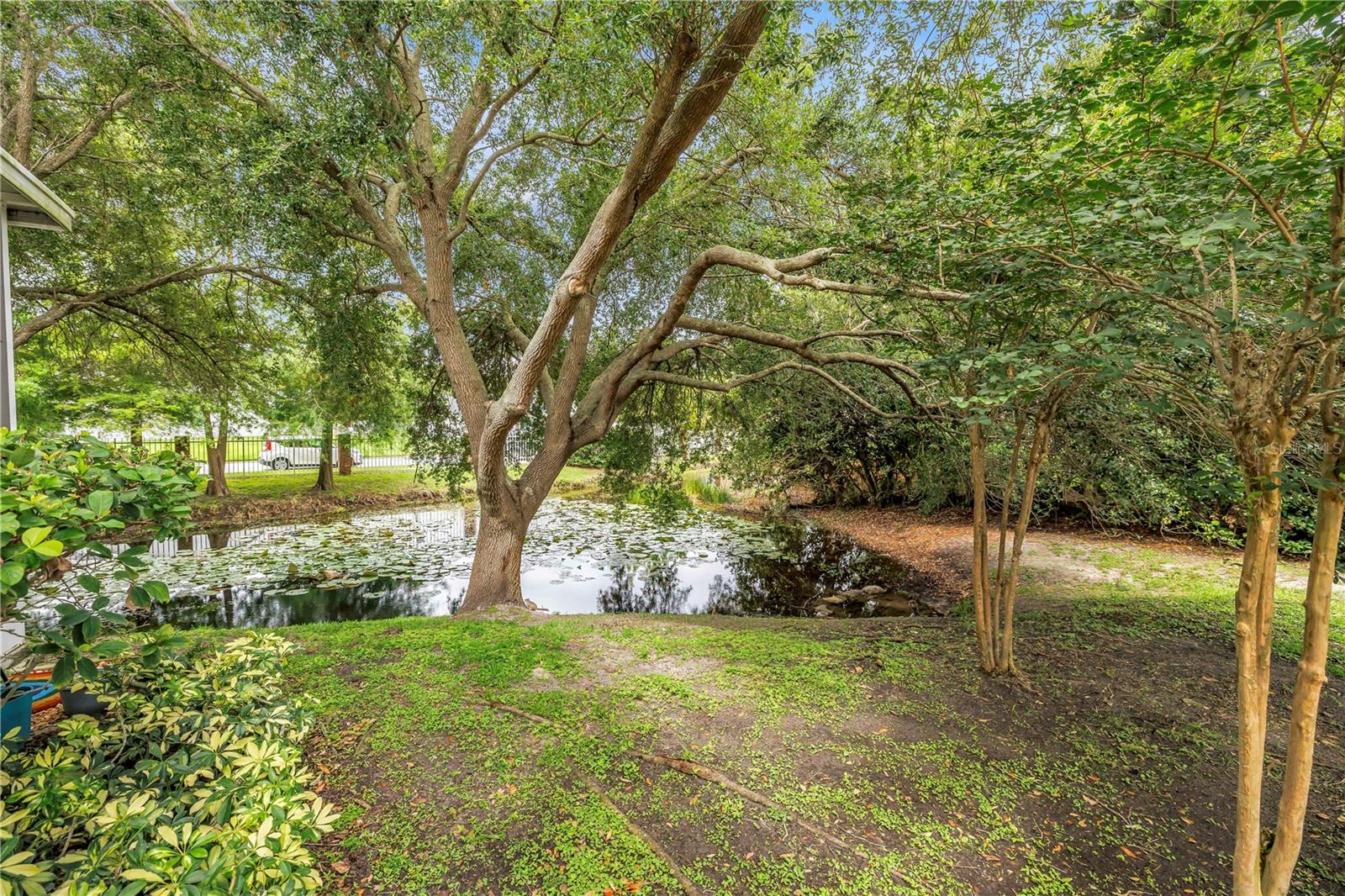 2982 Estancia Pl Property Photo 42