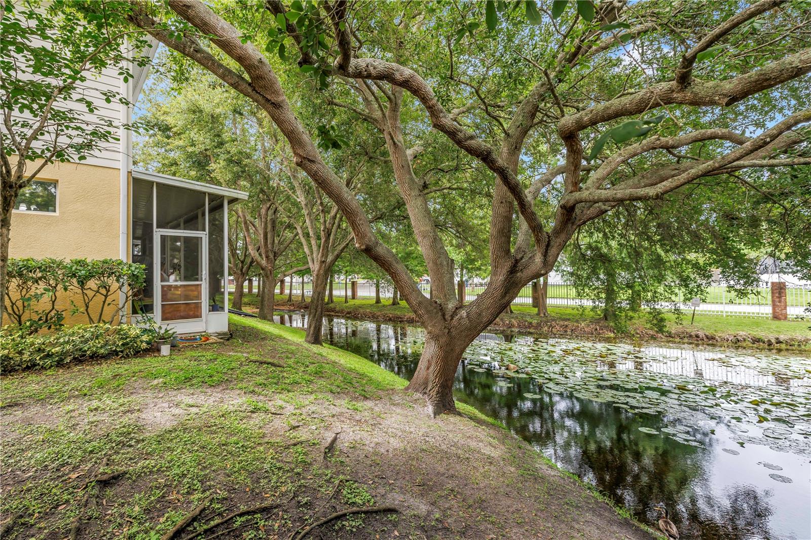 2982 Estancia Pl Property Photo 43