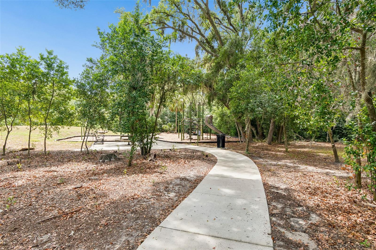 6388 Spider Lily Way Property Photo 37