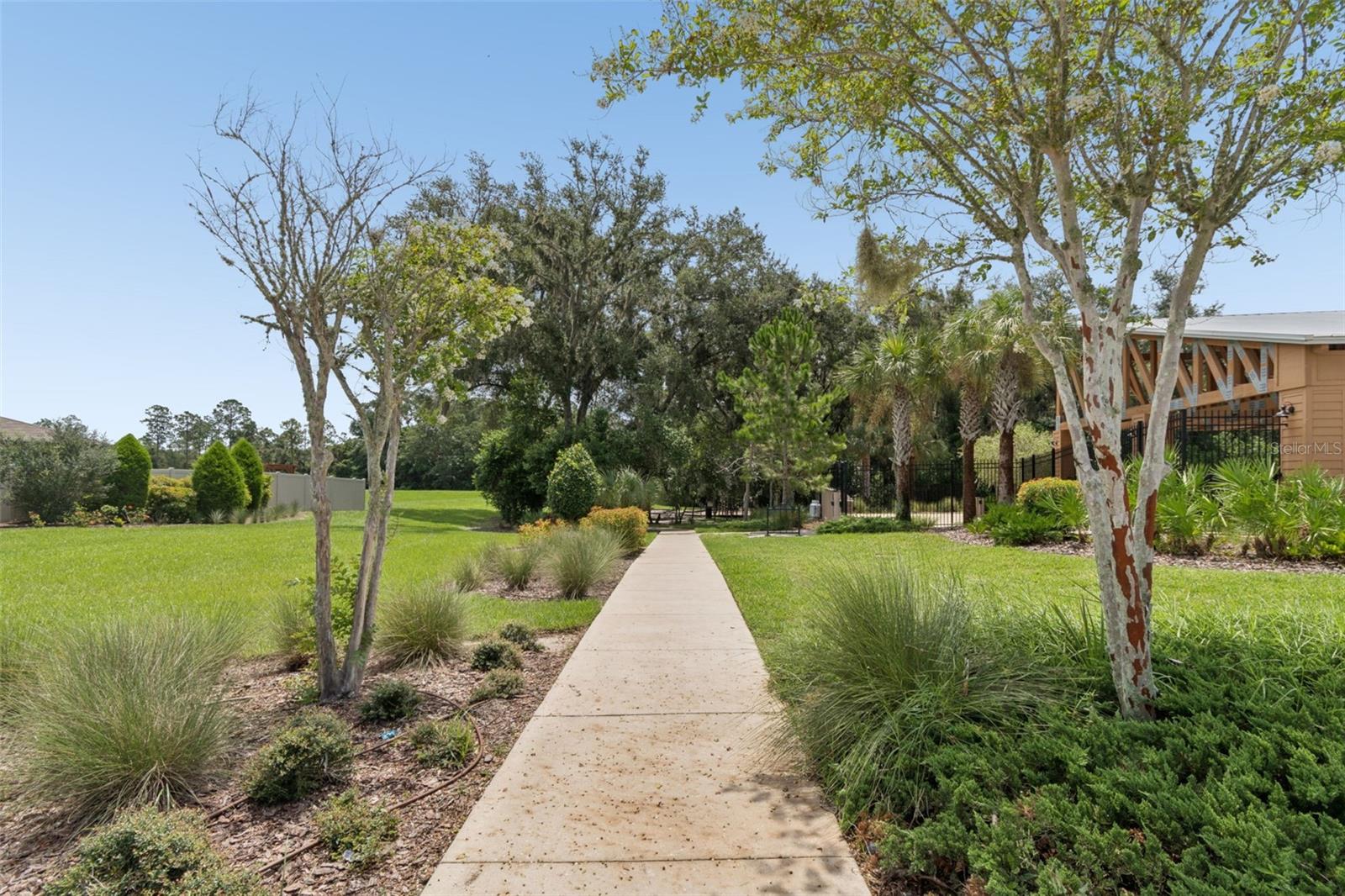 6388 Spider Lily Way Property Photo 45