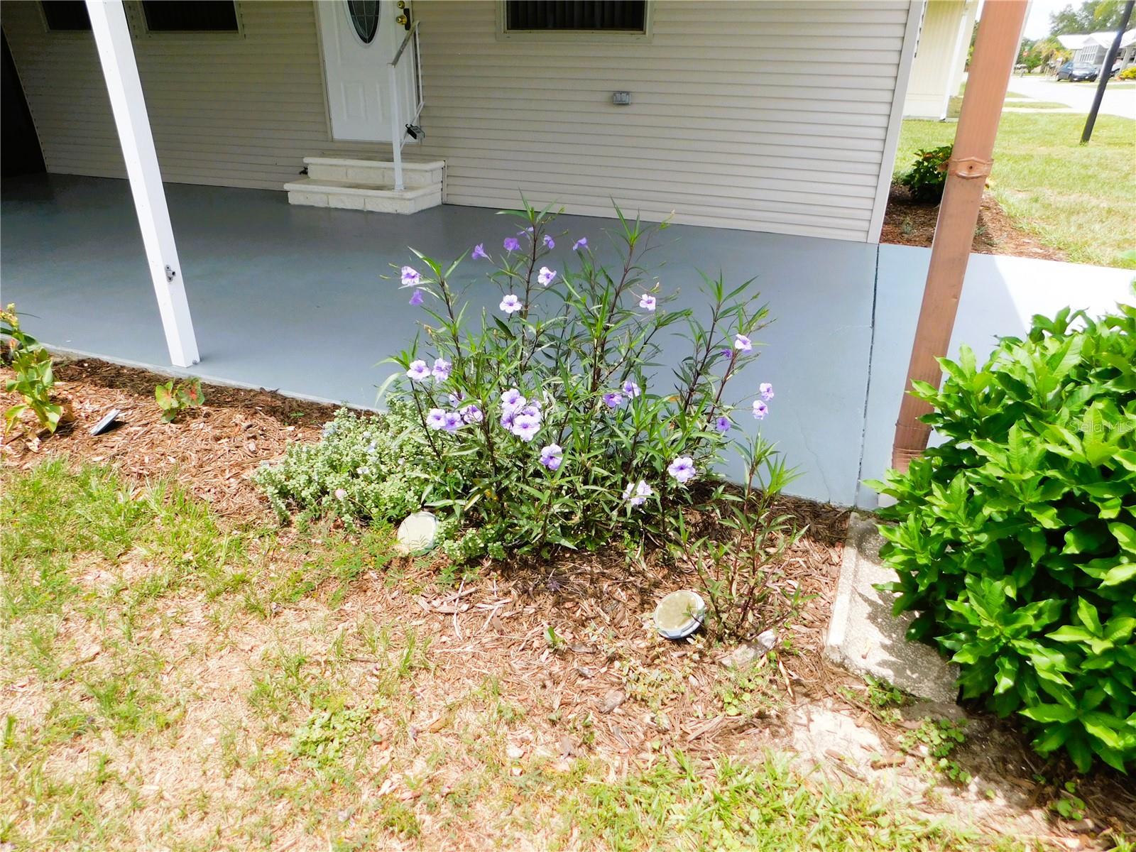 5315 Antigua Dr Property Photo 2