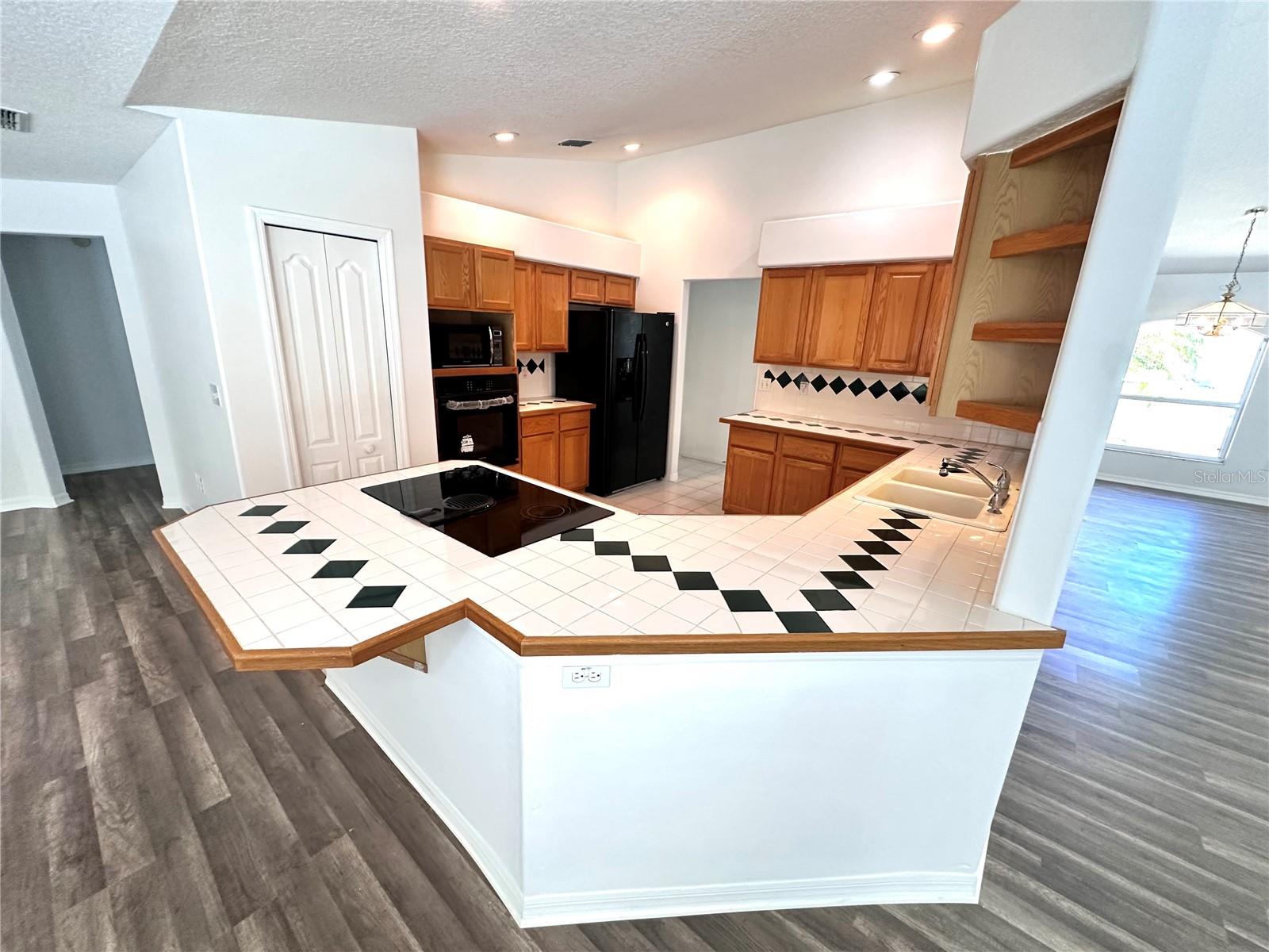 29439 Schinnecock Hills Ln Property Photo 8