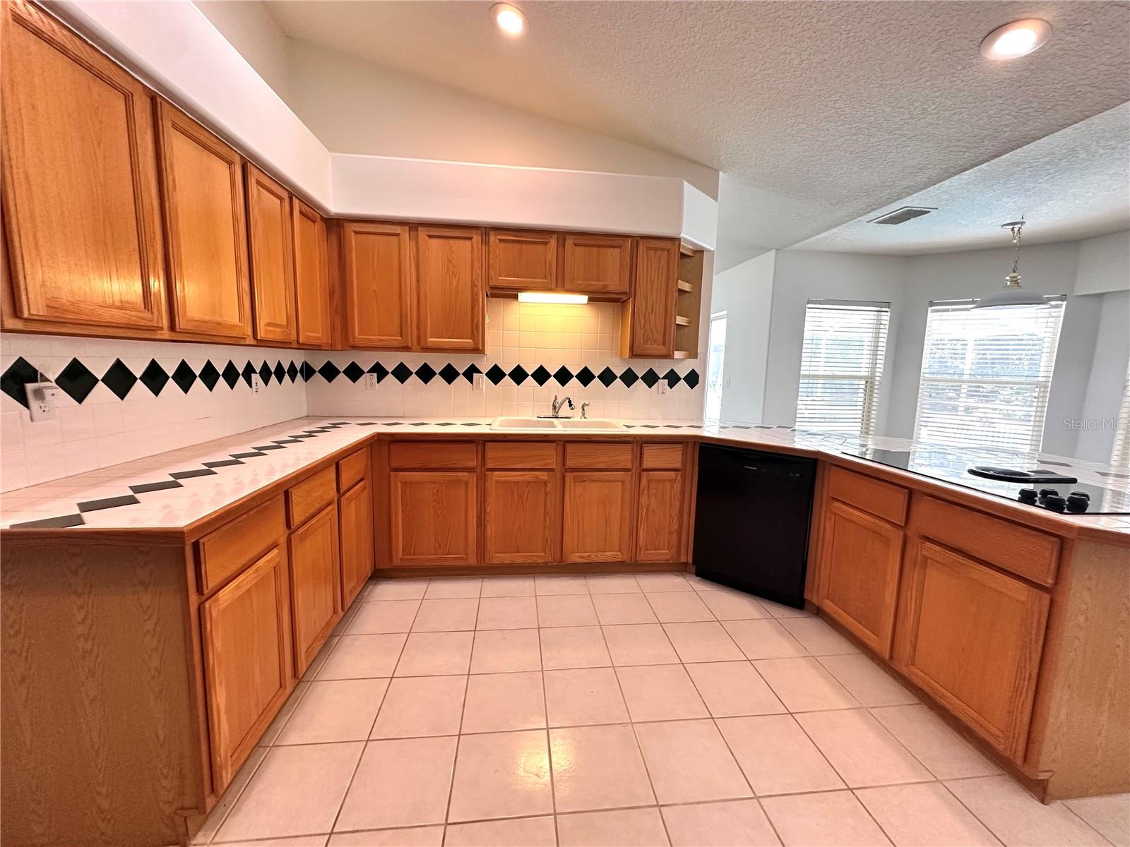 29439 Schinnecock Hills Ln Property Photo 10