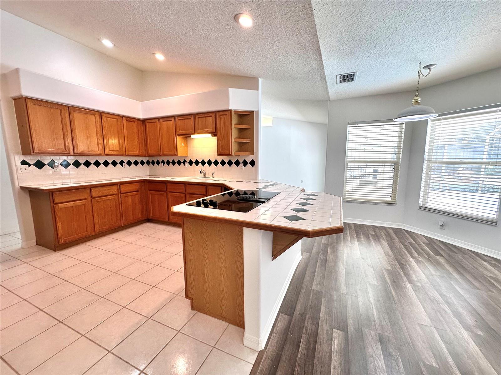 29439 Schinnecock Hills Ln Property Photo 11