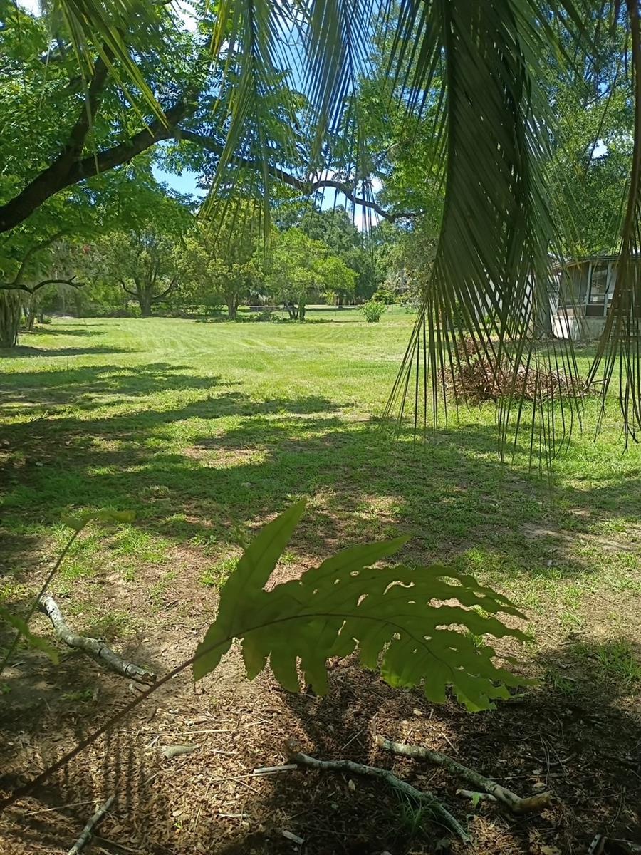 37247 Northside Dr Property Photo 29