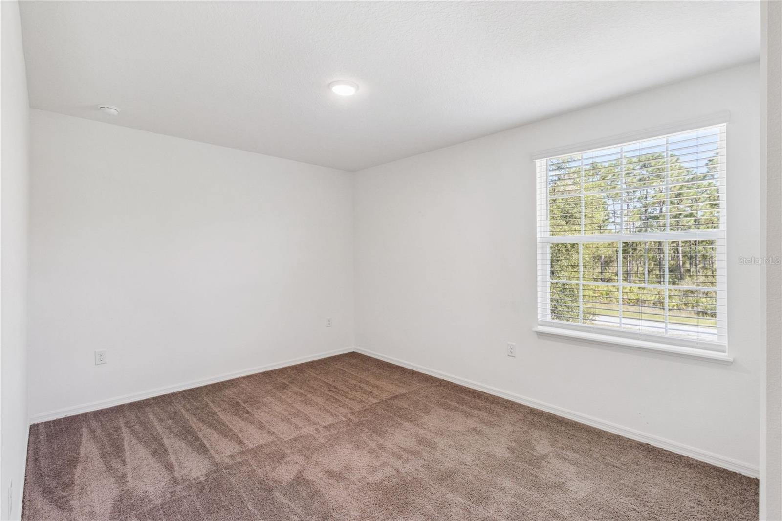 3681 Magnolia Dr Property Photo 17