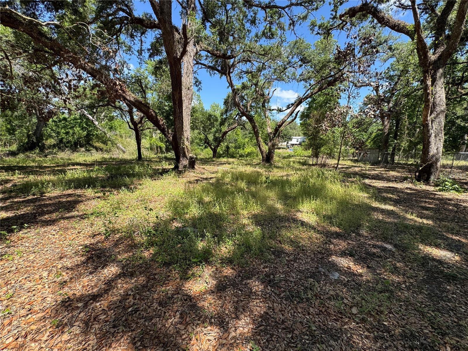Tannahill St Property Photo 7