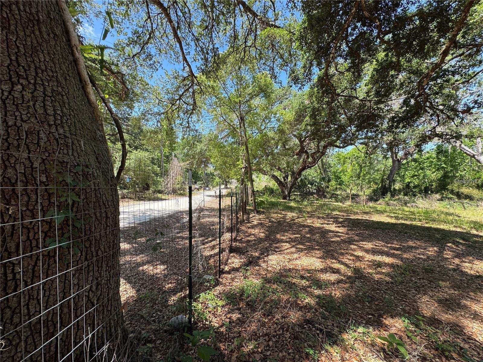 Tannahill St Property Photo 8