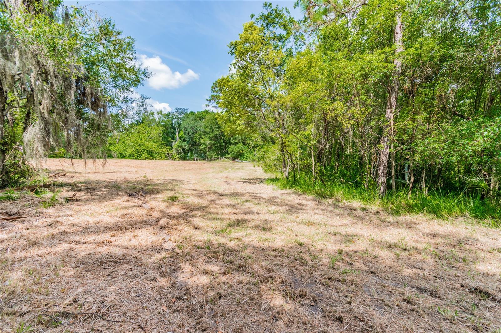 1758 Land O Lakes Blvd Property Photo 5