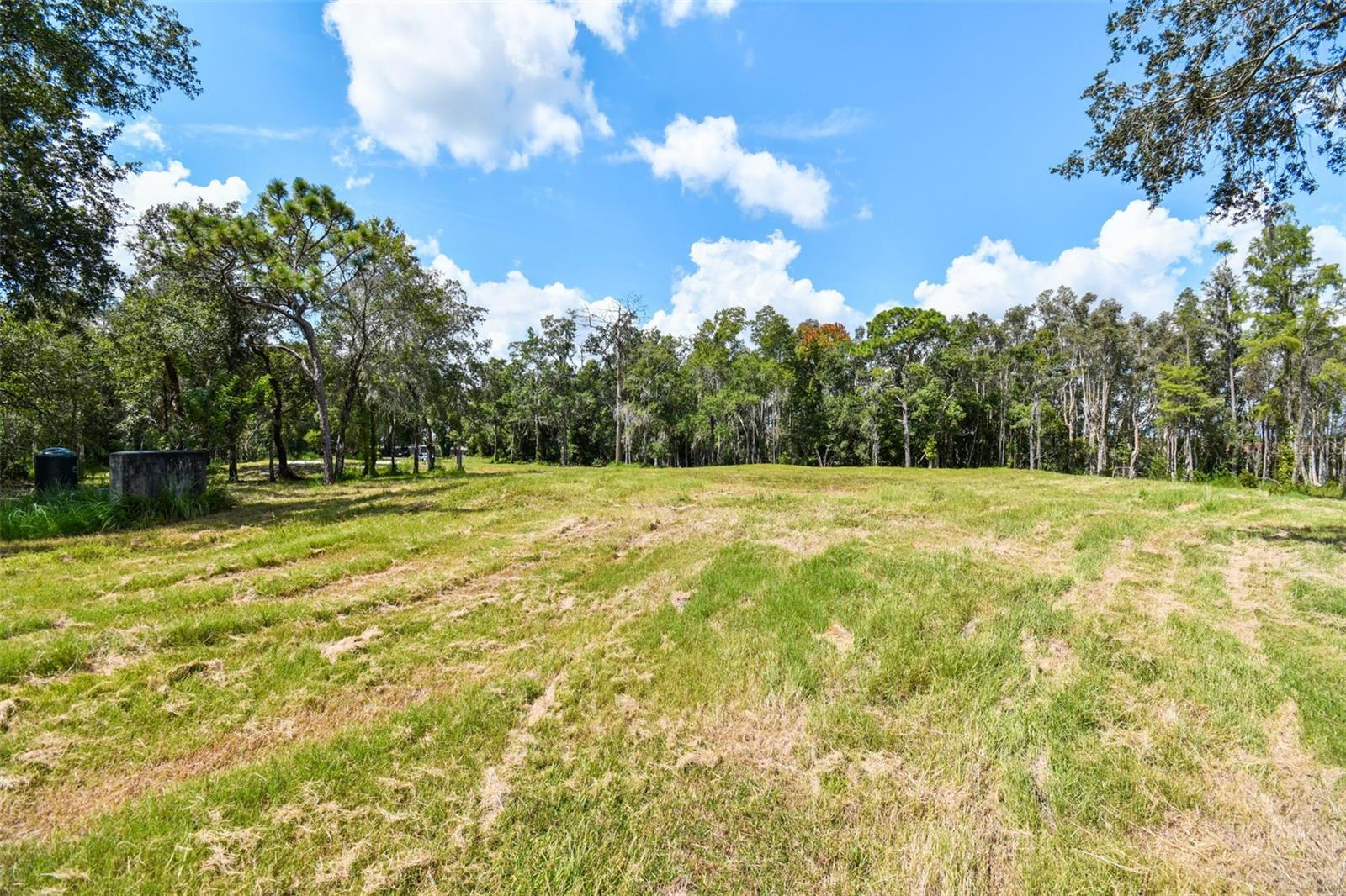1758 Land O Lakes Blvd Property Photo 6